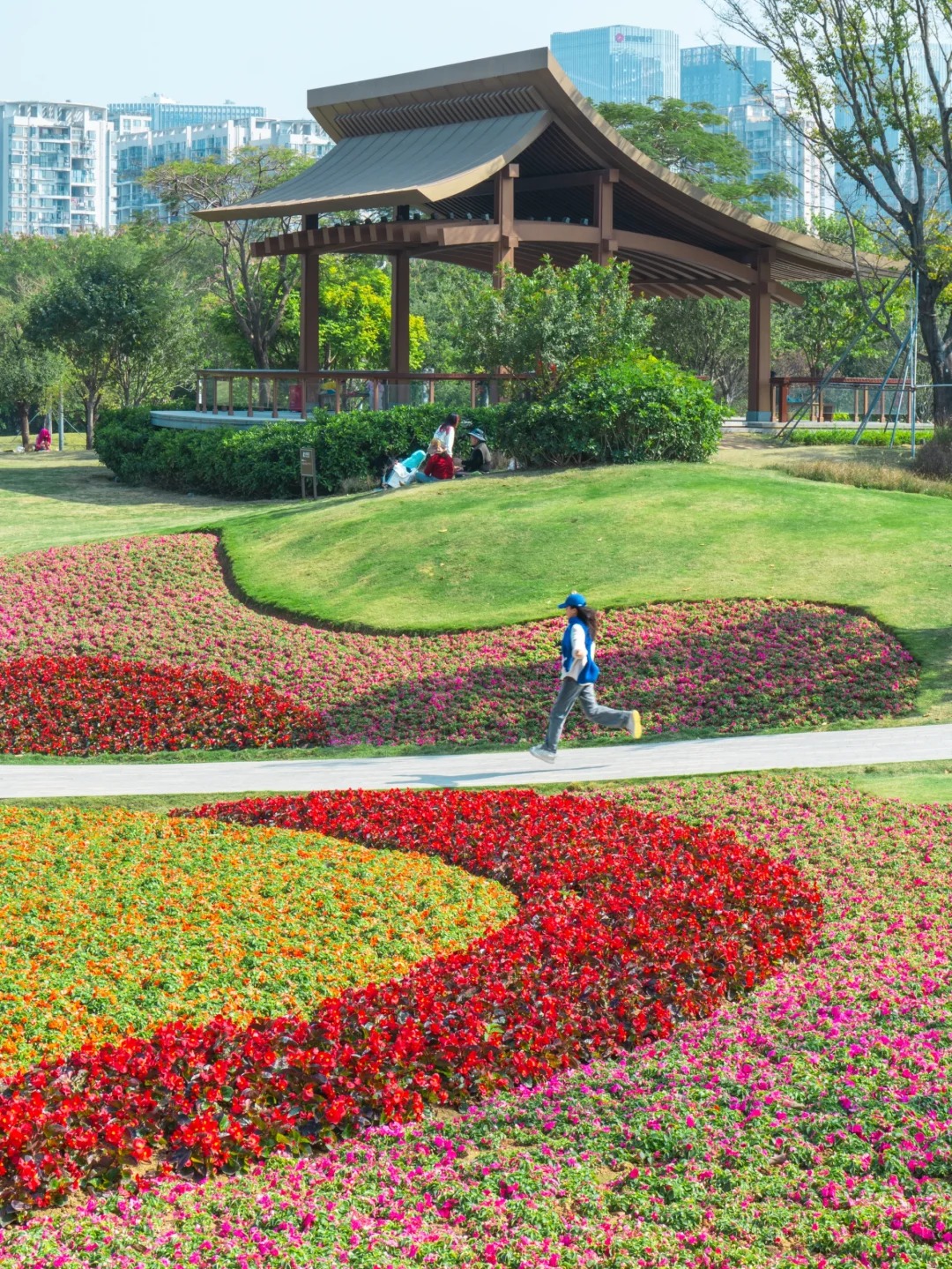 这个公园是深圳春日天花板