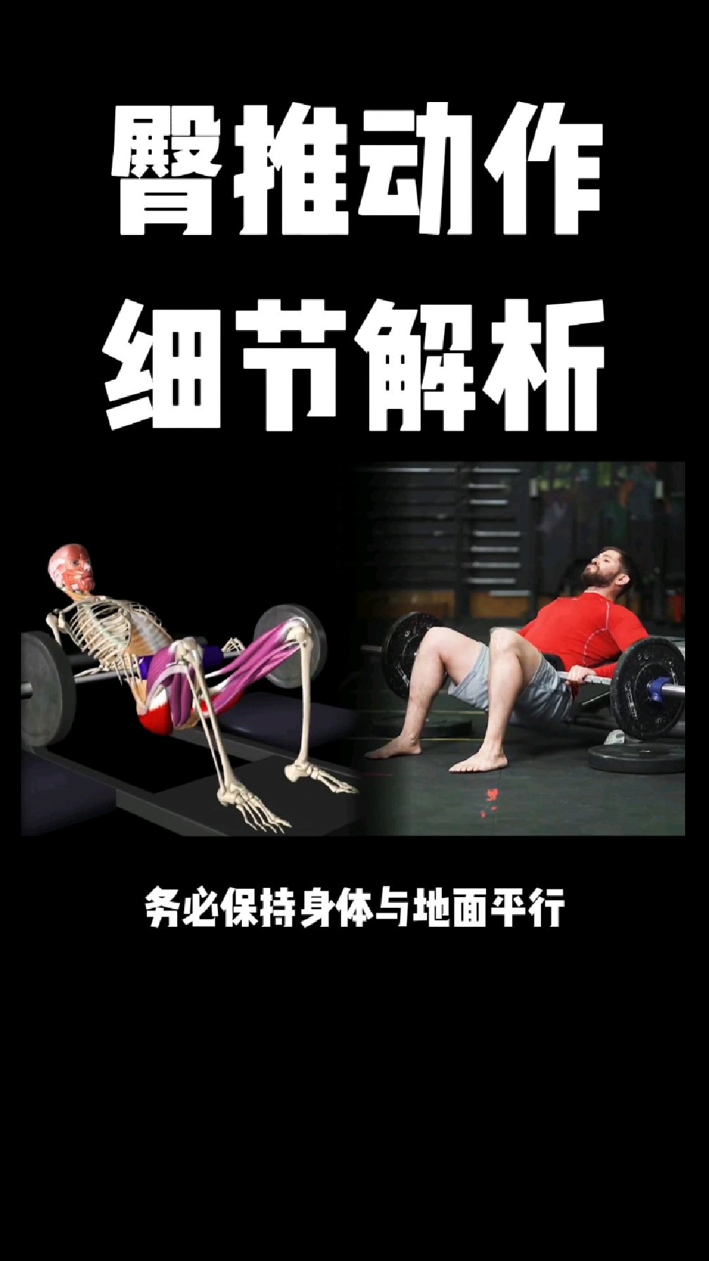 臀推的正确做法视频