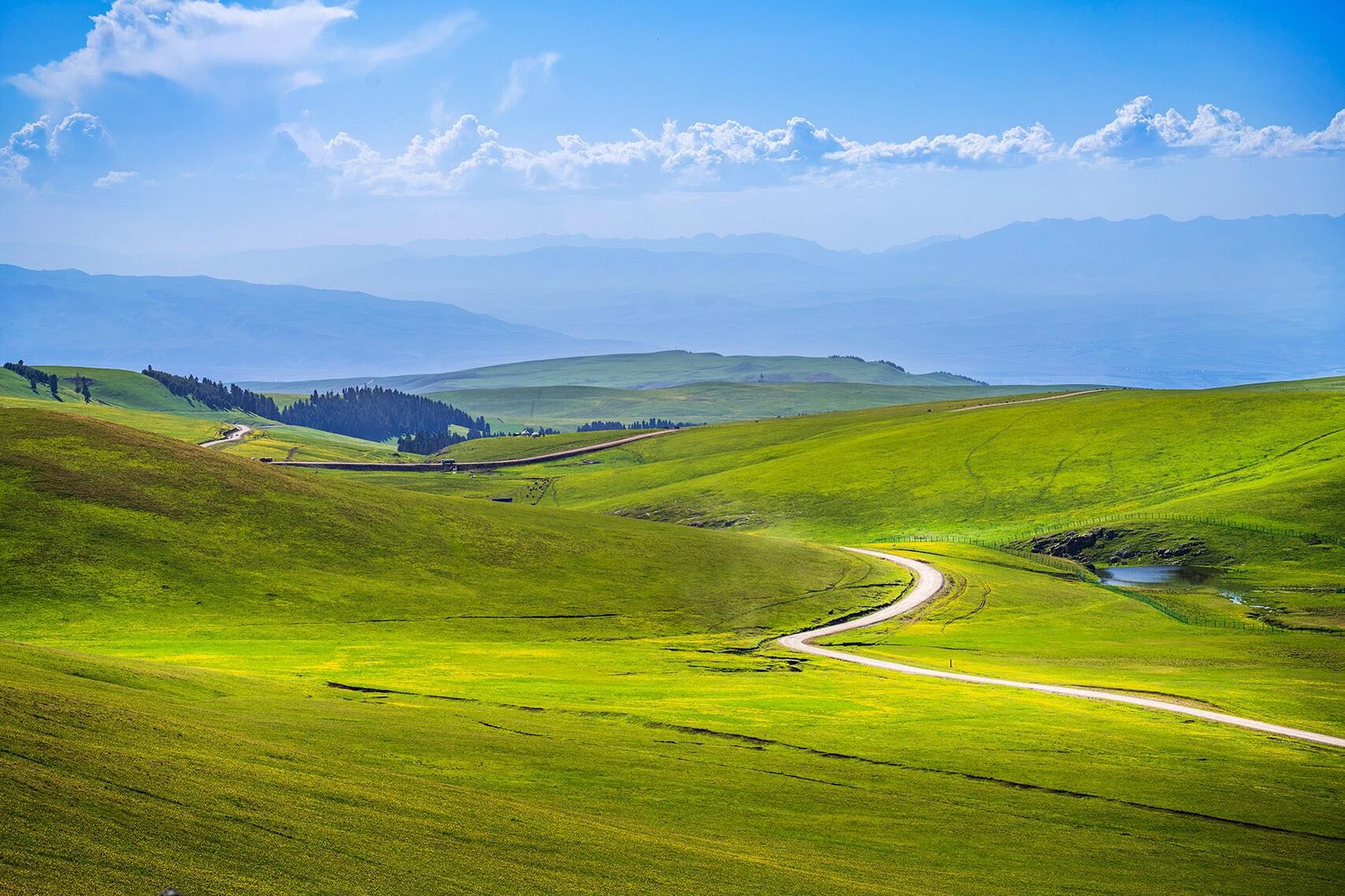上的绝美风景,随处可见的皑皑雪山,近处的花海草原,森林,木屋美轮美奂