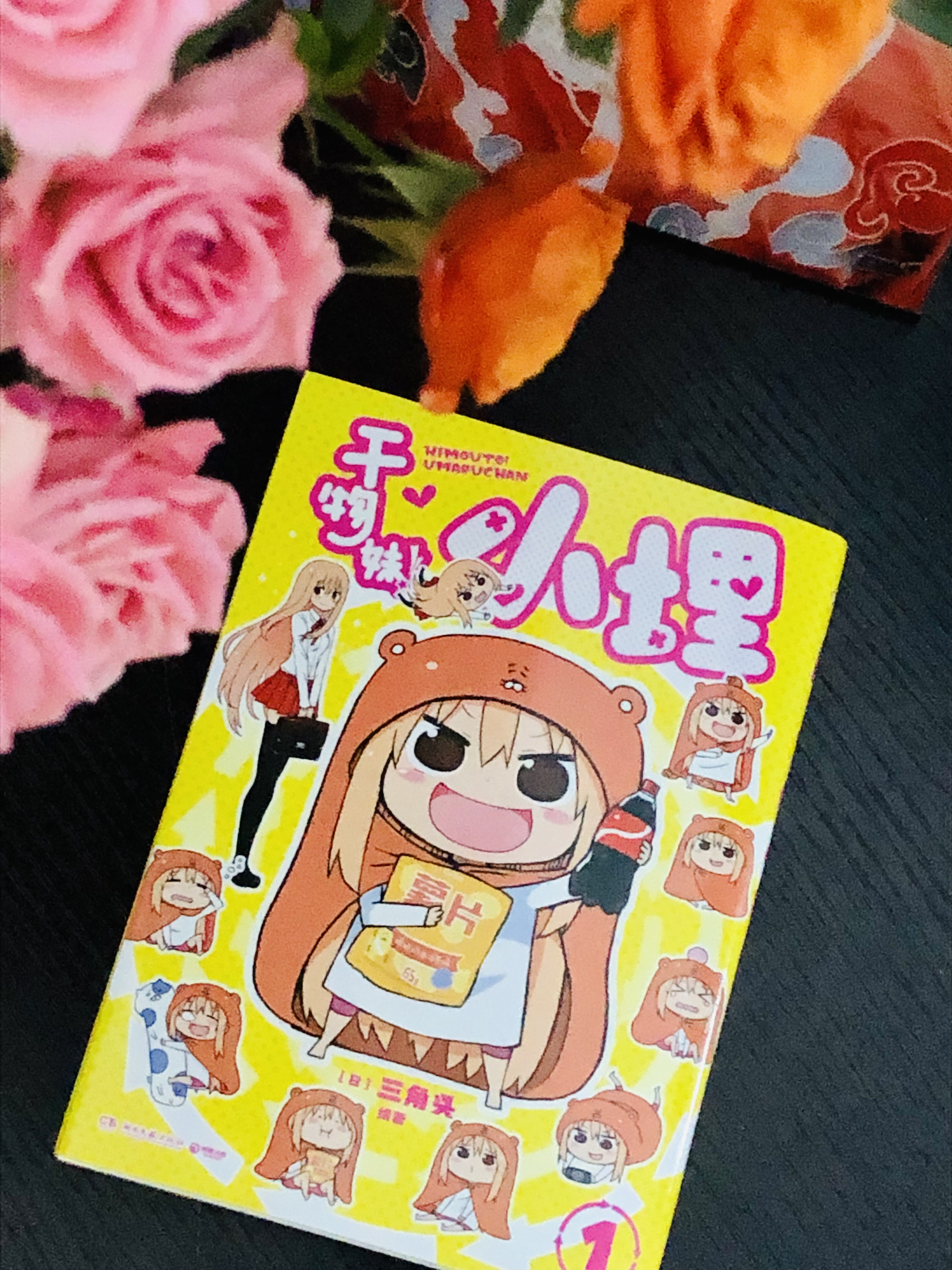 看到介绍的时候,对"干物妹"并没有任何的理解