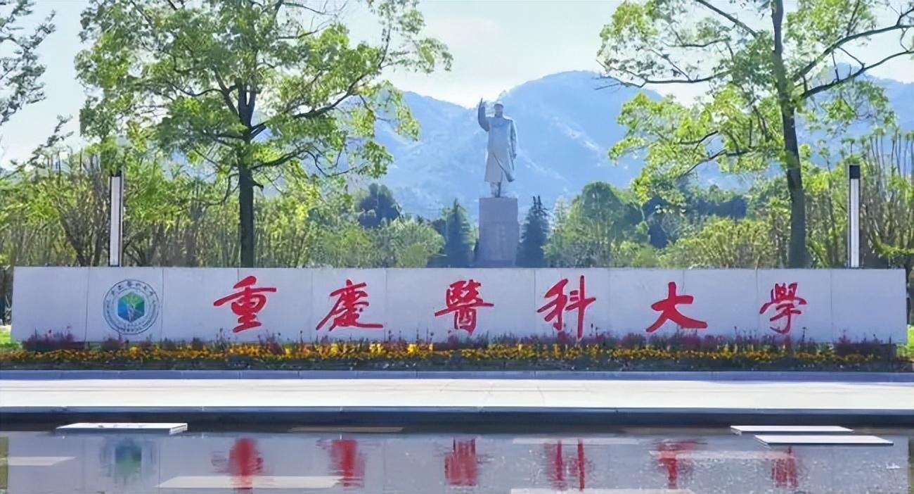 重庆医科大学门口图片