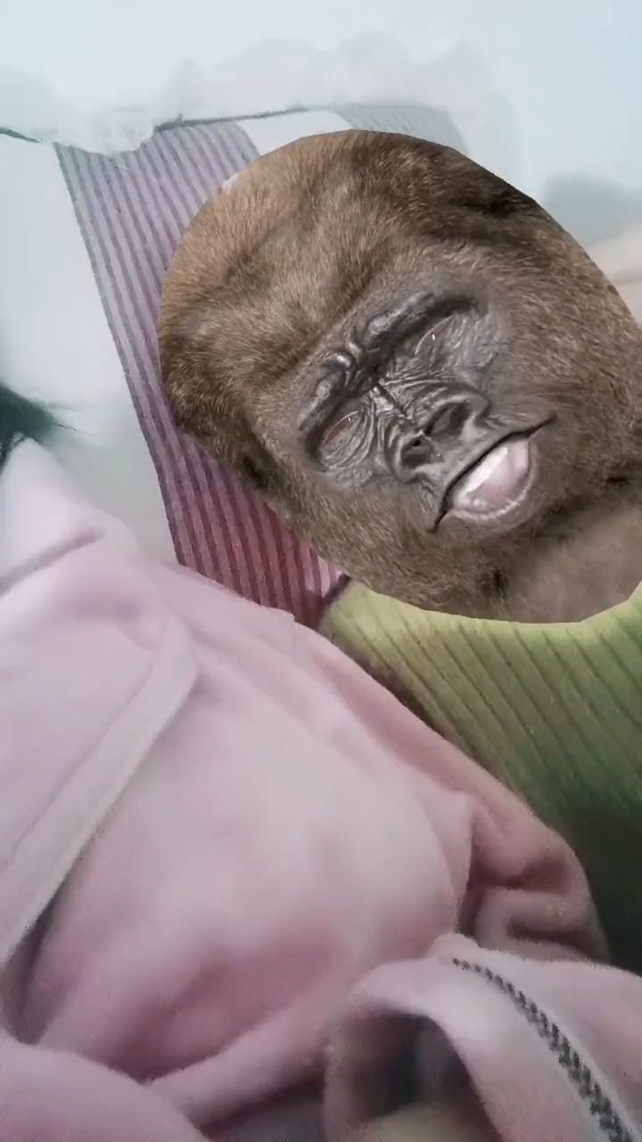 魔性的笑声!哈哈