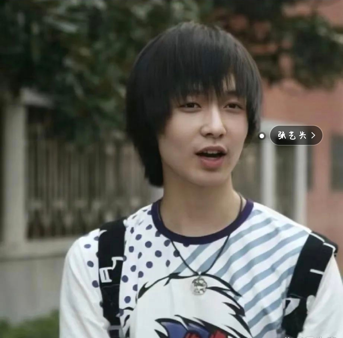 "张艺兴就是培训生出来的八股式艺人,保证了下限,失去了上限" 无意间