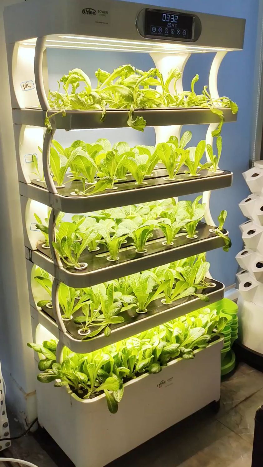 水培蔬菜:既美观,又实用!