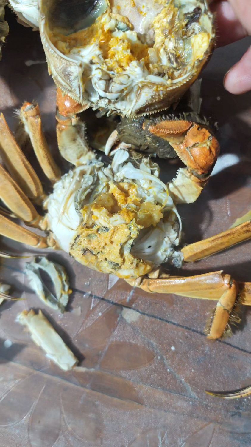 江苏断脚蟹,满肉满膏真好吃,一斤才15元
