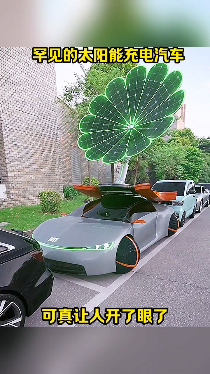 罕见的太阳能充电汽车,可真让人开了眼了!