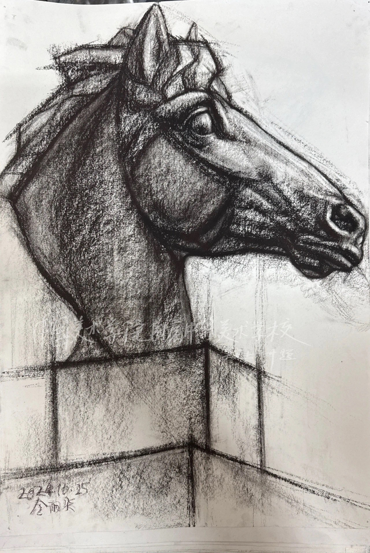 素描石膏头像马头在国美附中的高一的教学体系里面是一个重要的课程