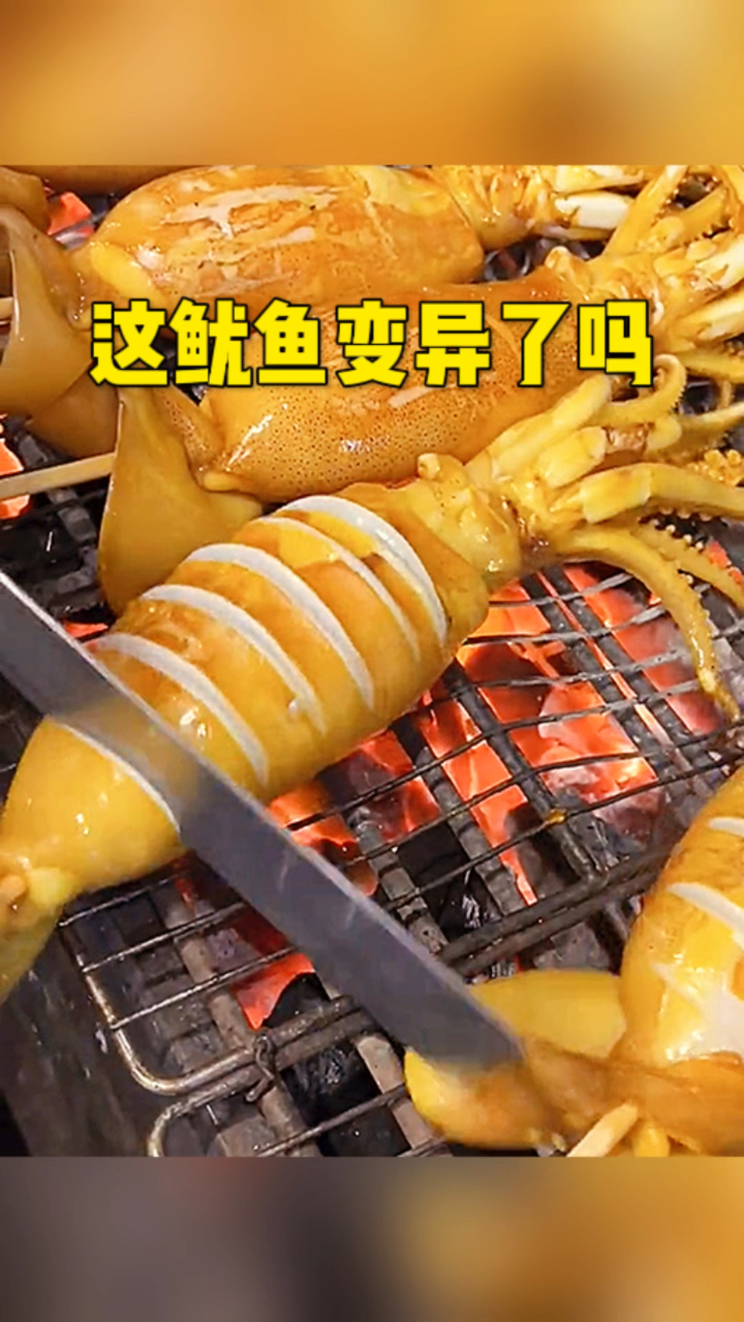 这鱿鱼变异了吗哈