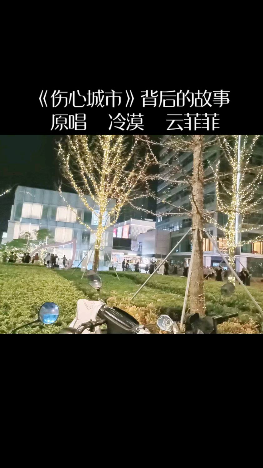 伤心城市原唱图片