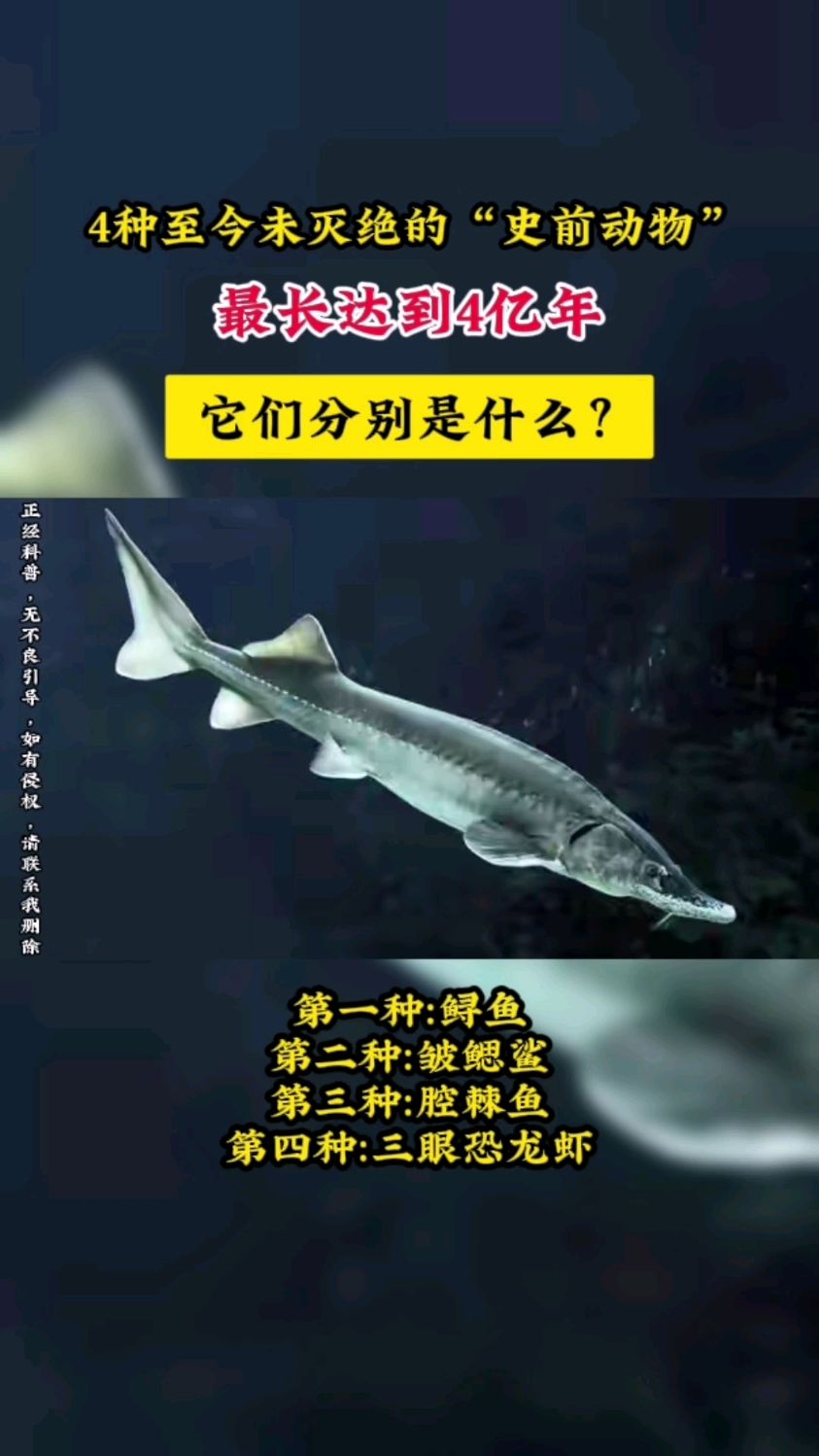 4种至今未灭绝的"史前动物",最长达到4亿年,它们分别是什么?
