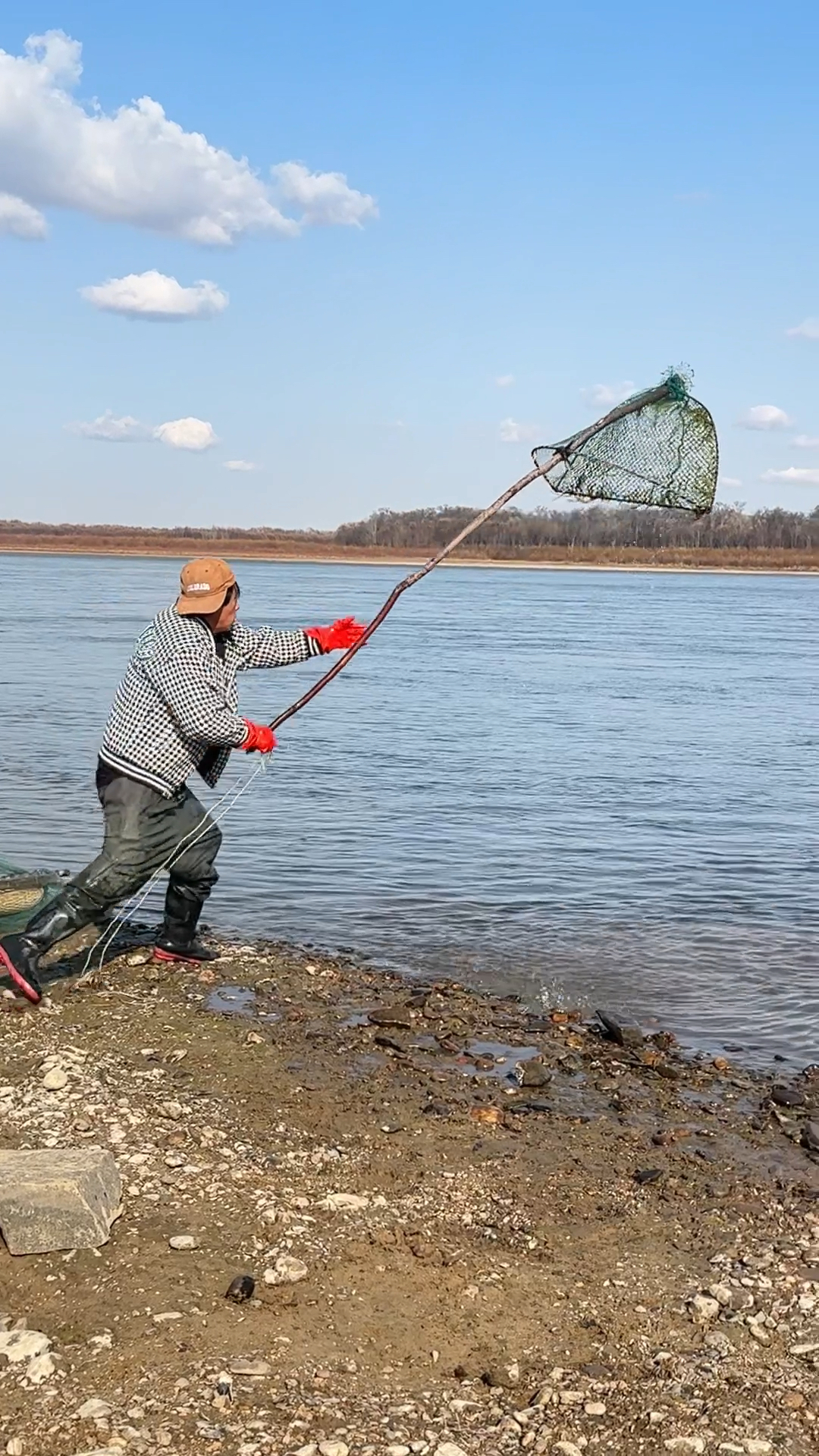 农村老哥扒网扒大鱼