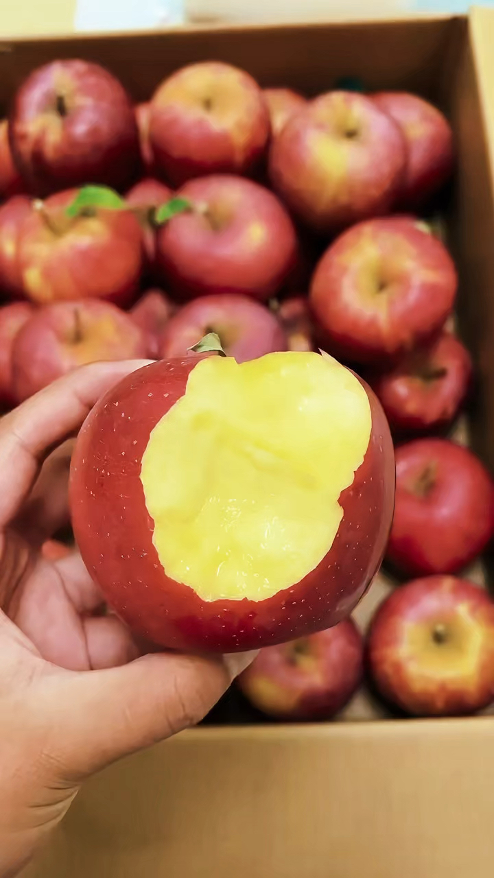 很安静的吃苹果,今年新果子