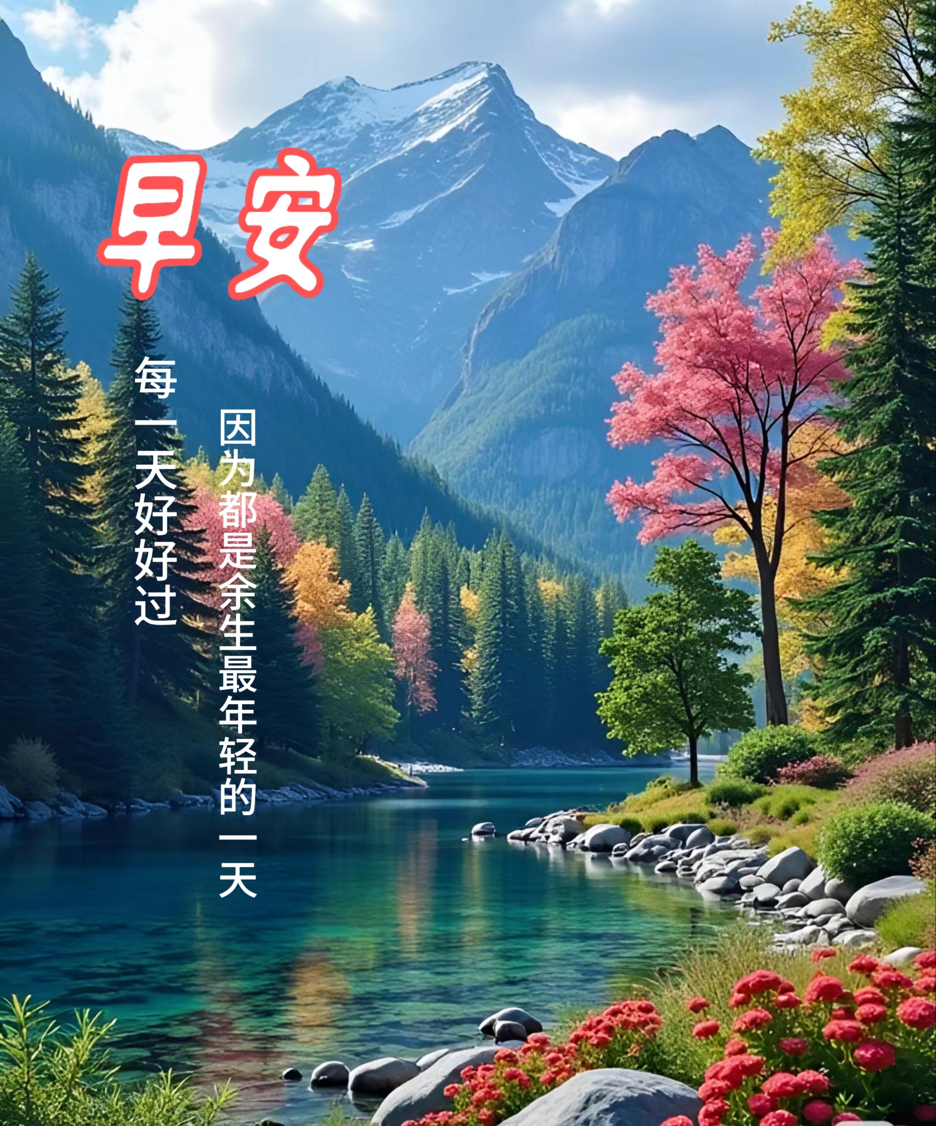 美好的一天从欣赏美景开始#治愈系风景# #早安