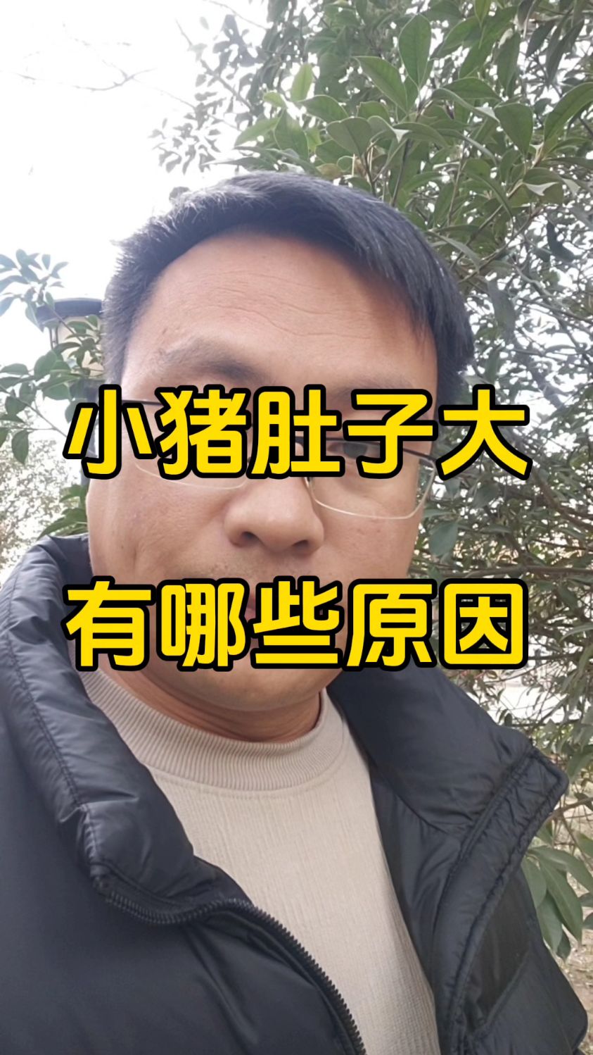 猪肚子脸是什么意思图片