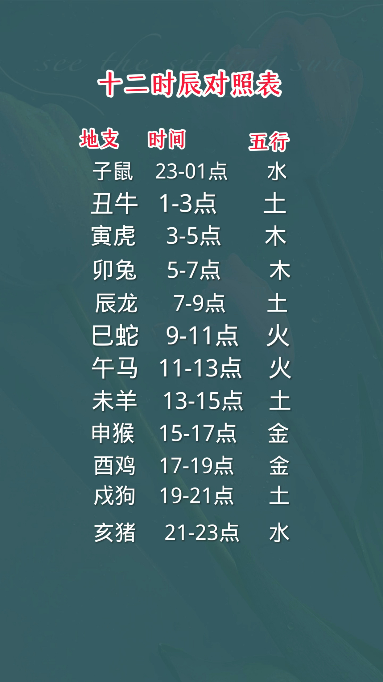 十二生肖各个时辰属相运势(十二生肖各个时辰属相运势图)