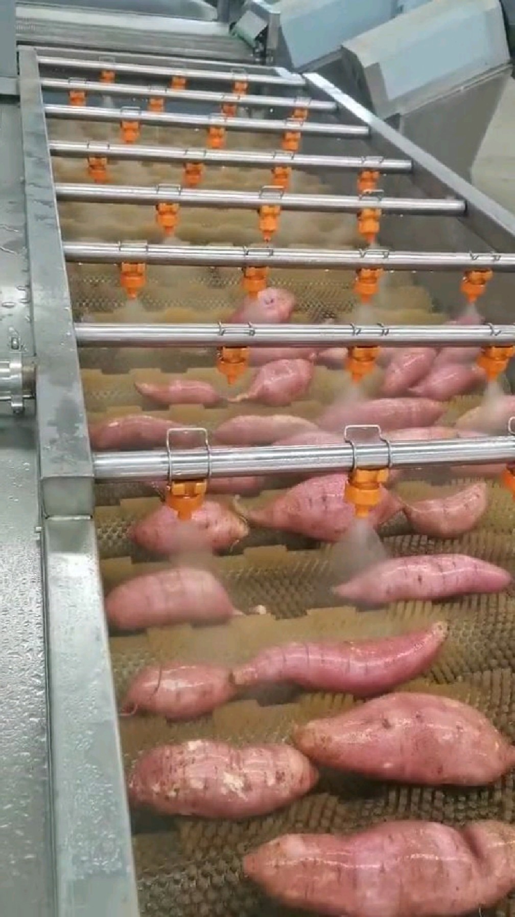全自动红薯清洗机