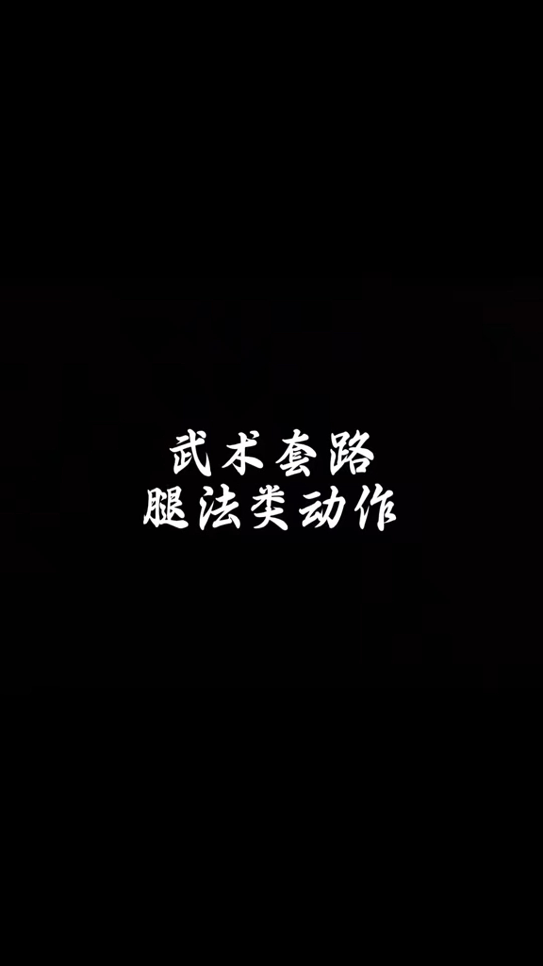 武术套路腿法类动作