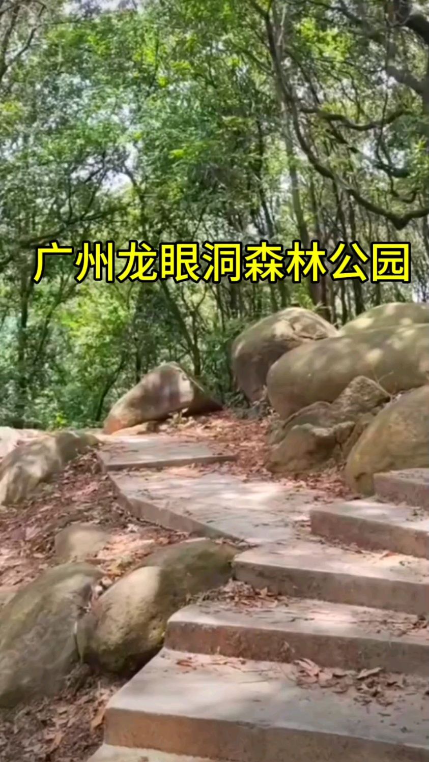 徒步广州龙眼洞森林公园实拍分享