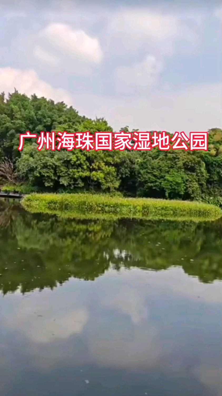 广州珠海国家湿地公园实拍分享