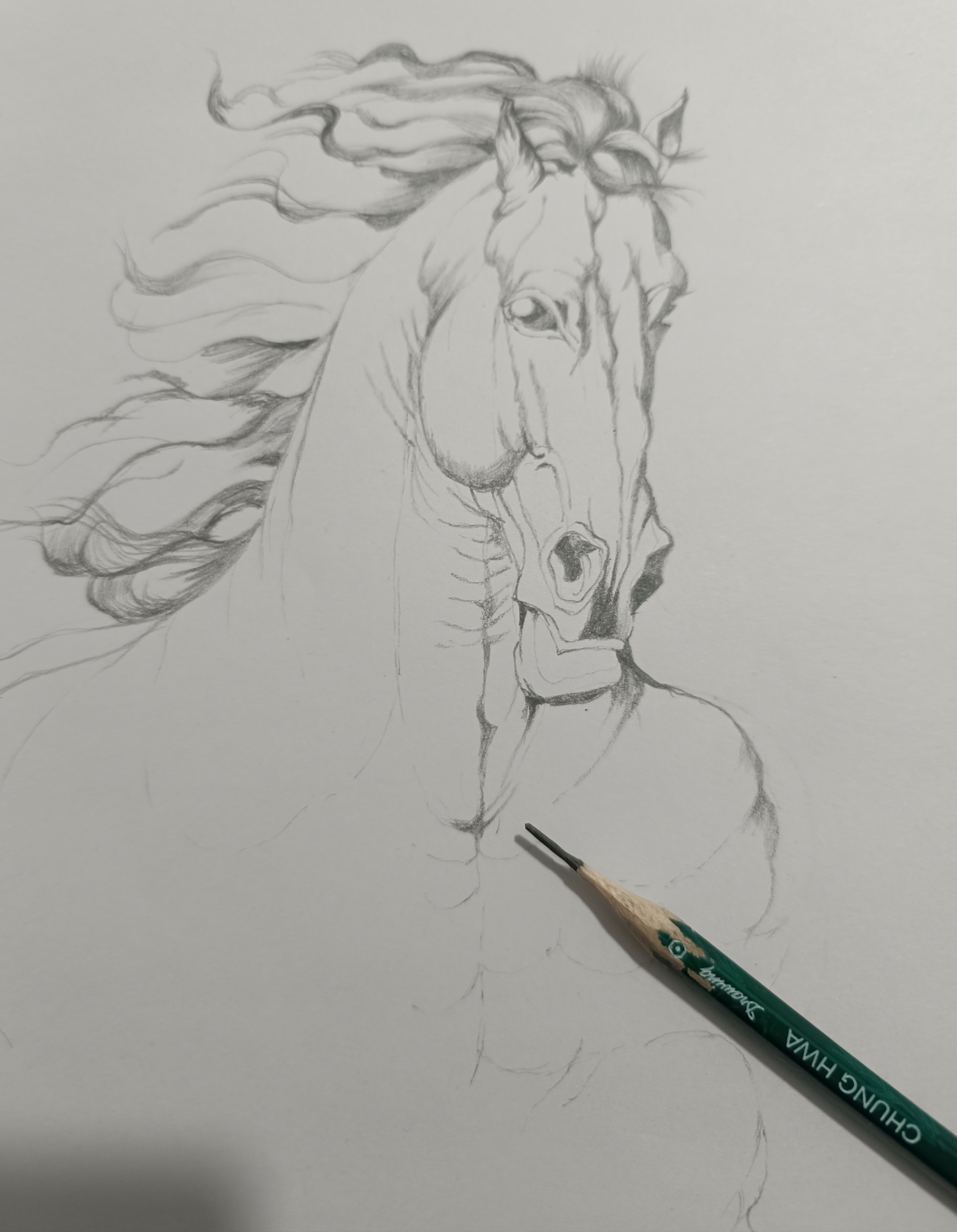 农历正月初六 乙已蛇年 戊寅月 癸卯日