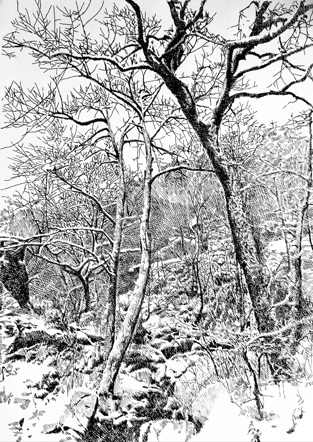 —独具魅力的钢笔风景作品画家刘军吉 刘军吉在