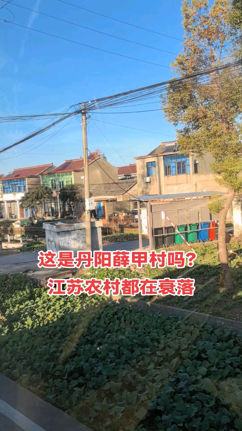 兰溪市丹阳村图片