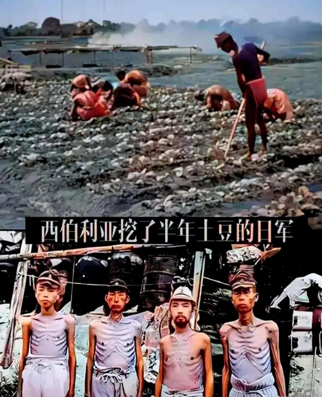 日军为什么怕拉贝