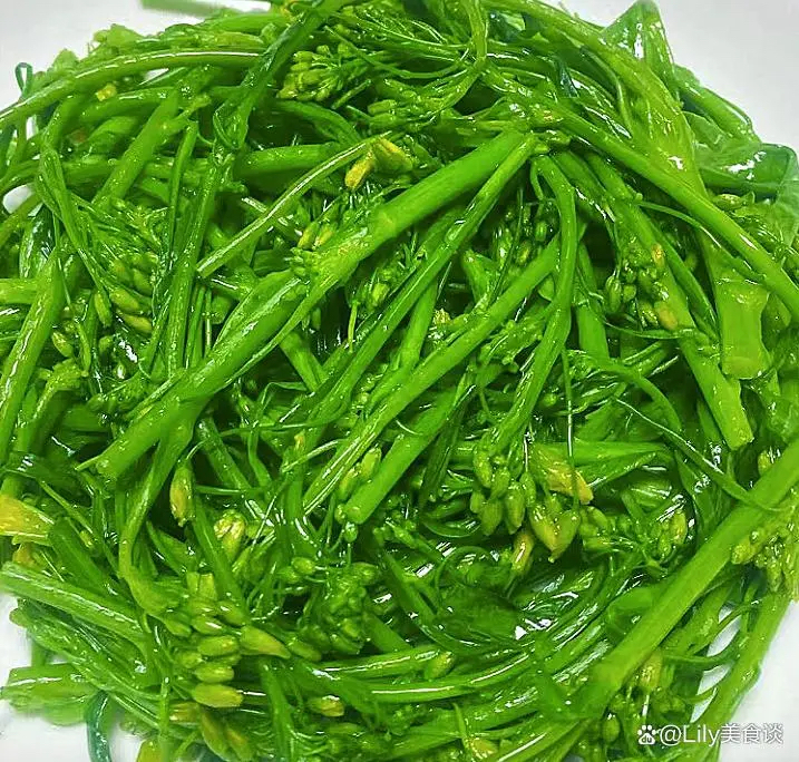 冬季,这菜使劲吃,一清热解毒,二润肠,三对眼睛好,不懂吃可惜