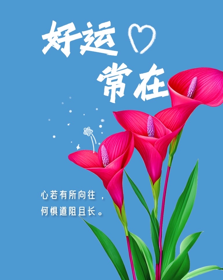 我们有时候会想,我都努力过了,为什么还是没得到好运气