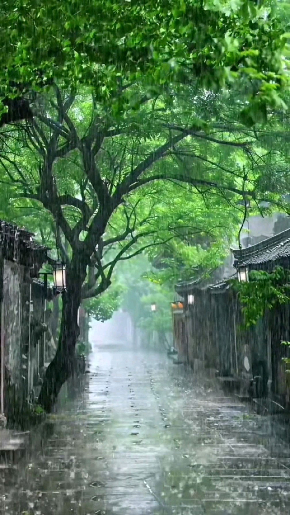 雨是常年忧,亦是经夜的愁,黄昏街角,房檐孤灯
