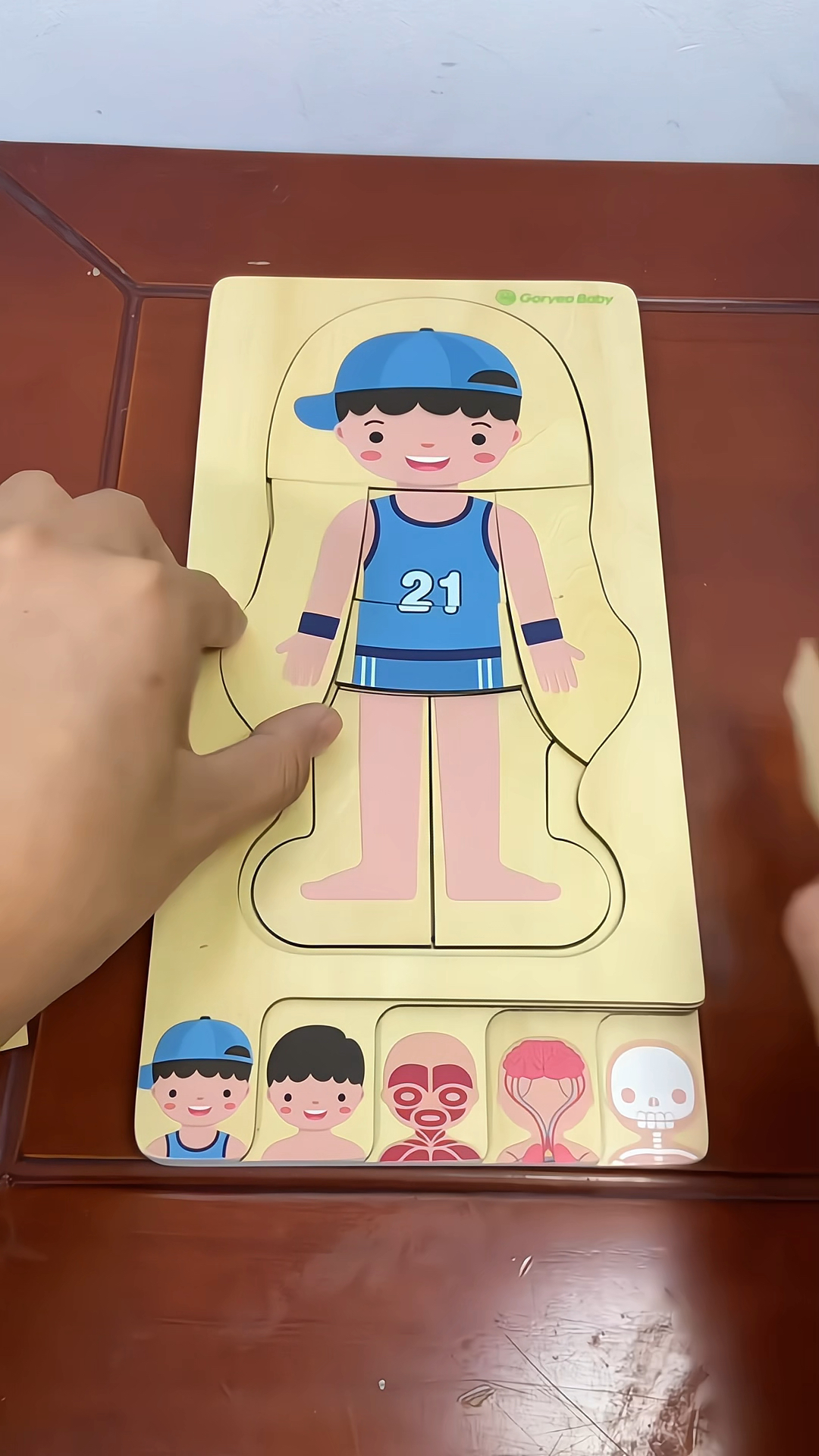 有意思的拼图带你认识身体结构