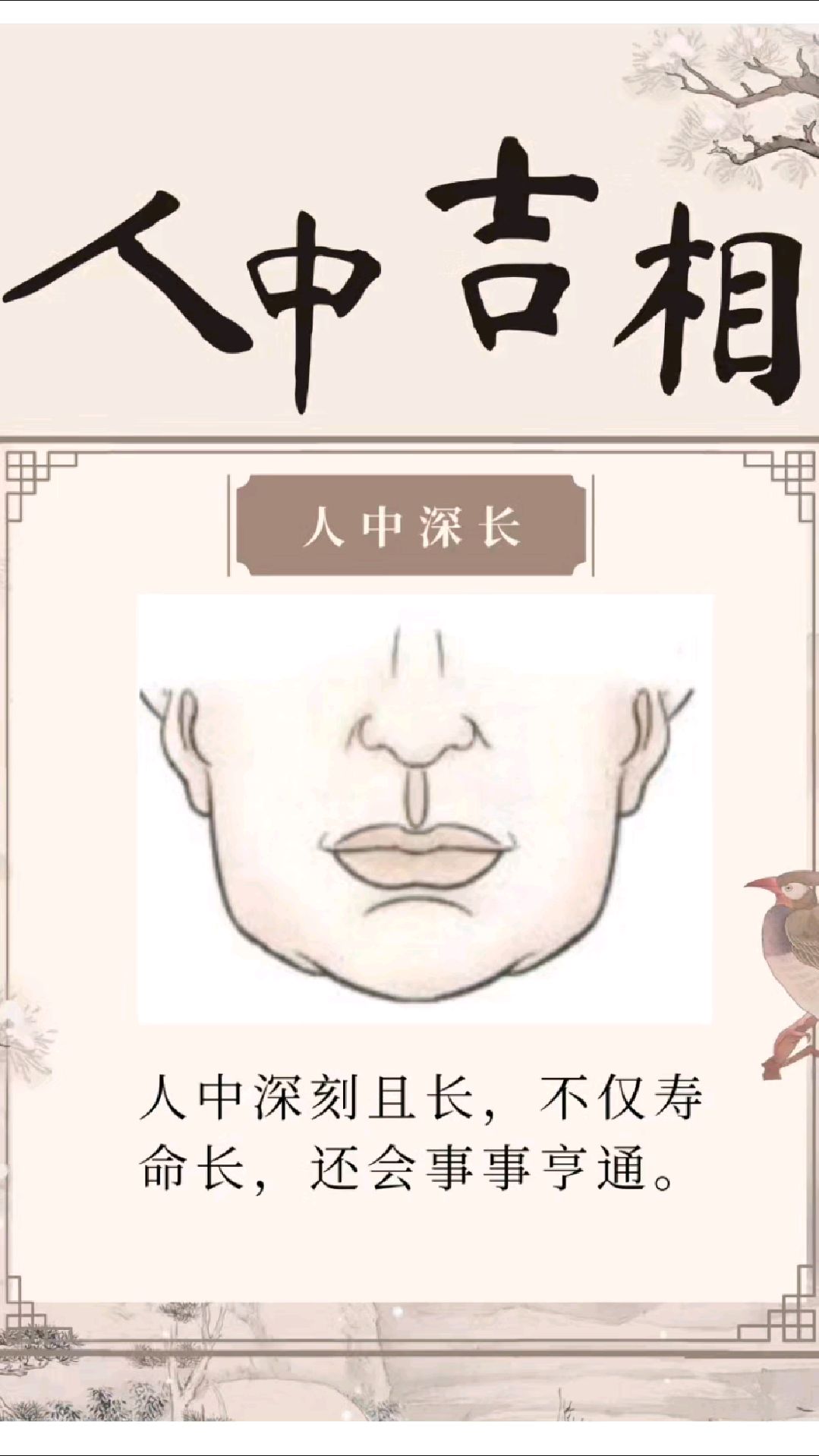 运势与面相的秘密!