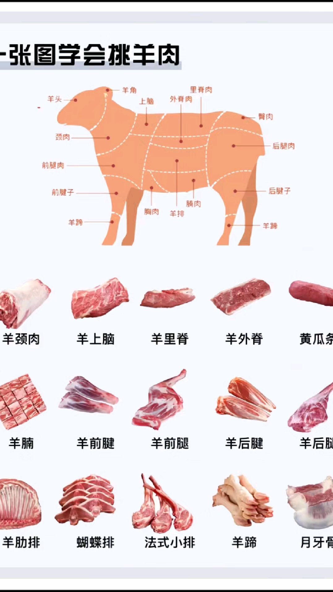 羊肉挑选指南!一张图教你学会挑牛肉
