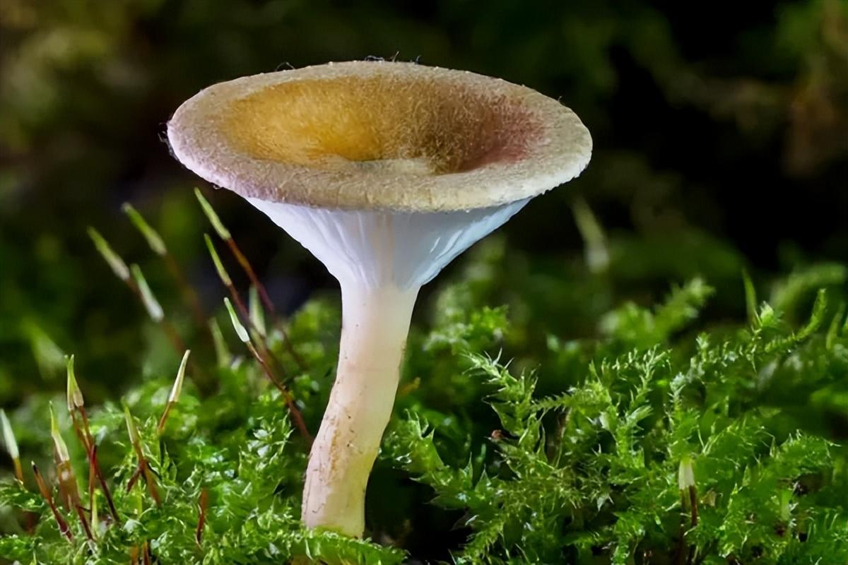 我们的前半生,已经错过太多