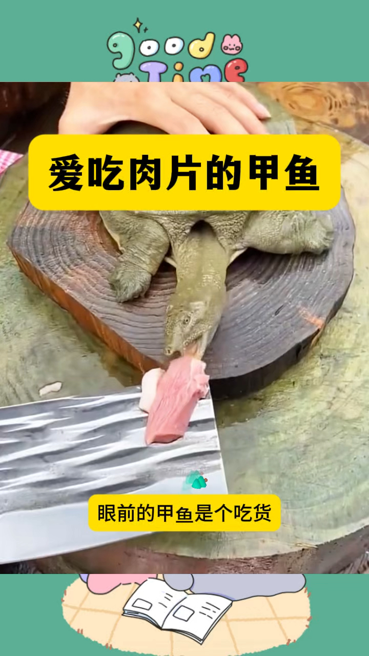 为什么吃甲鱼不吃乌龟呢?为什么在线