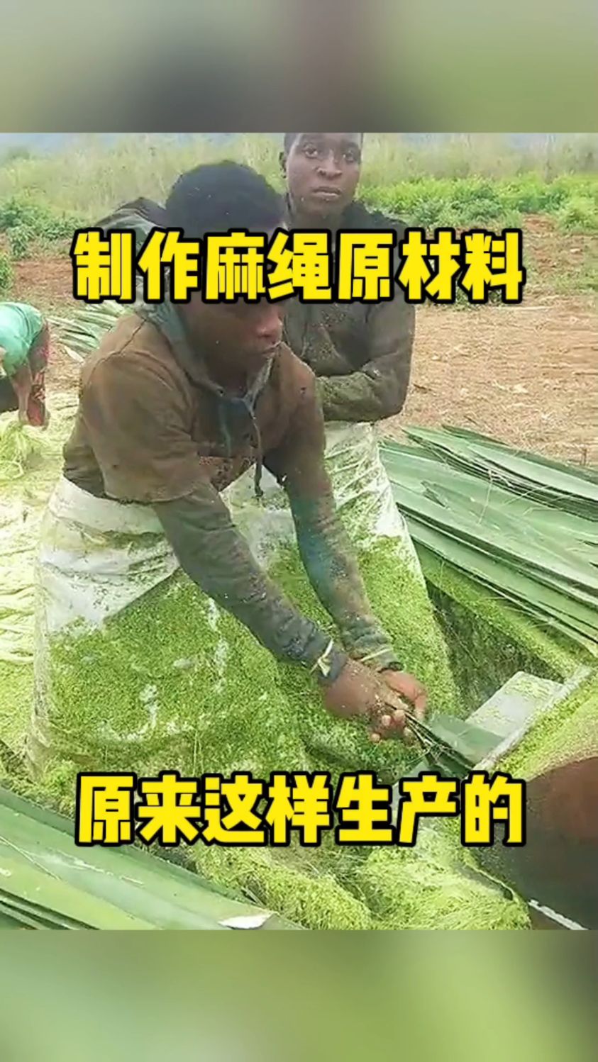 麻线的制作过程图片