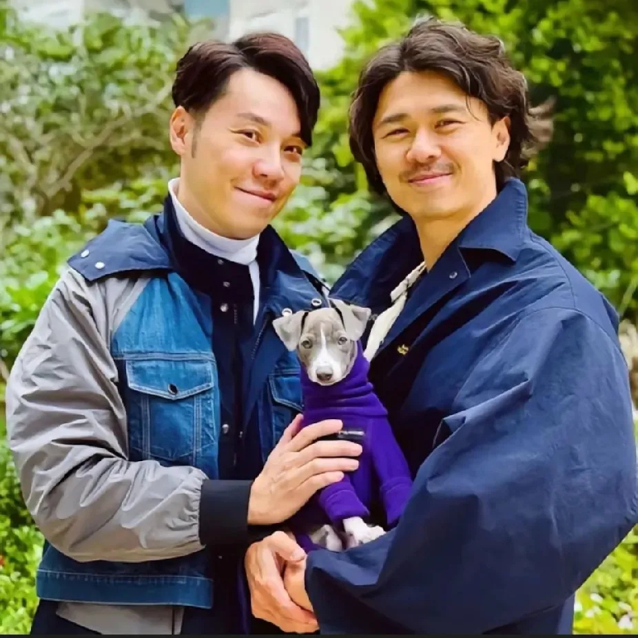 奋斗第二季=奋斗第二部为什么没拍