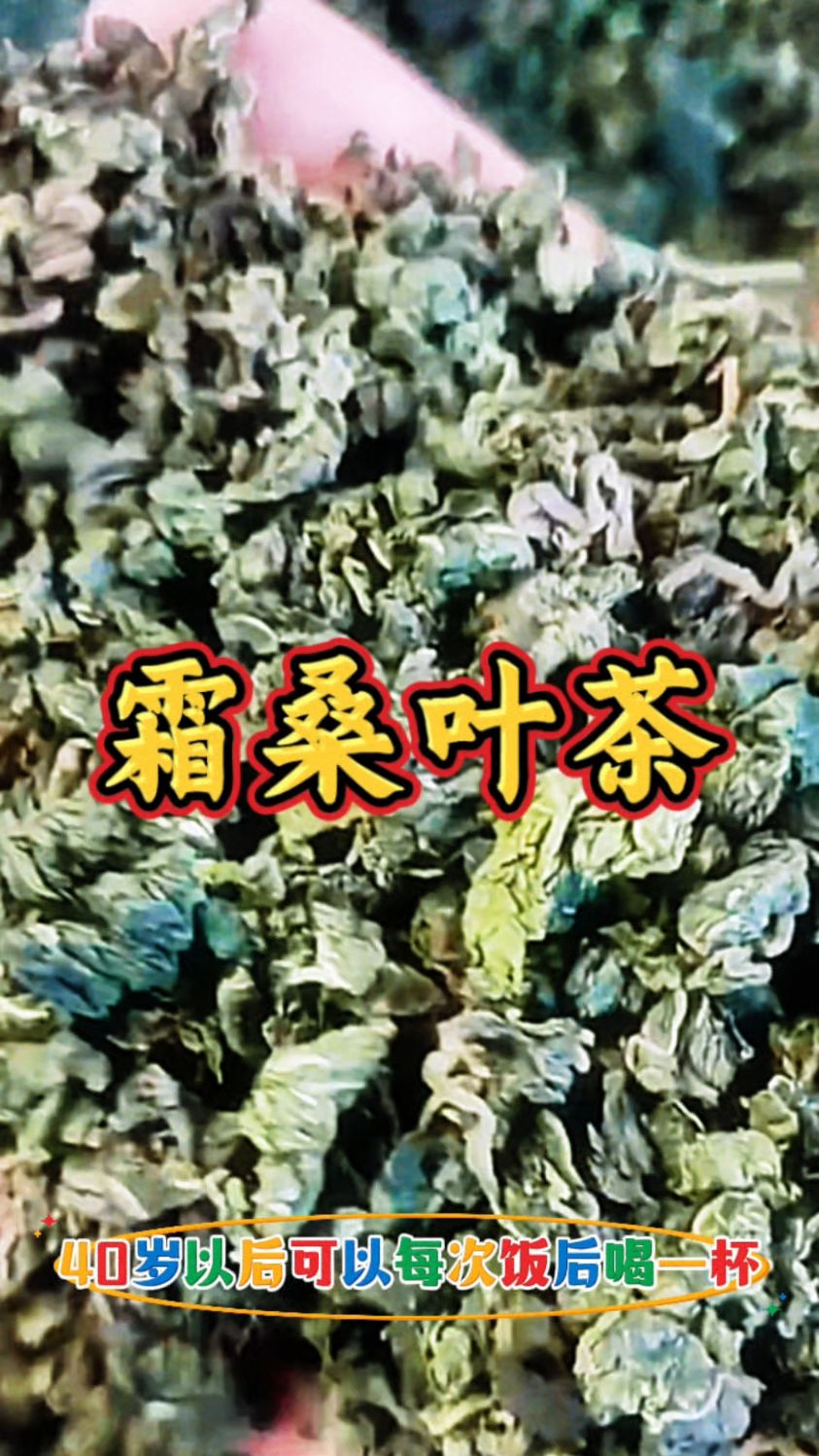 霜桑叶泡水,你有喝过吗?