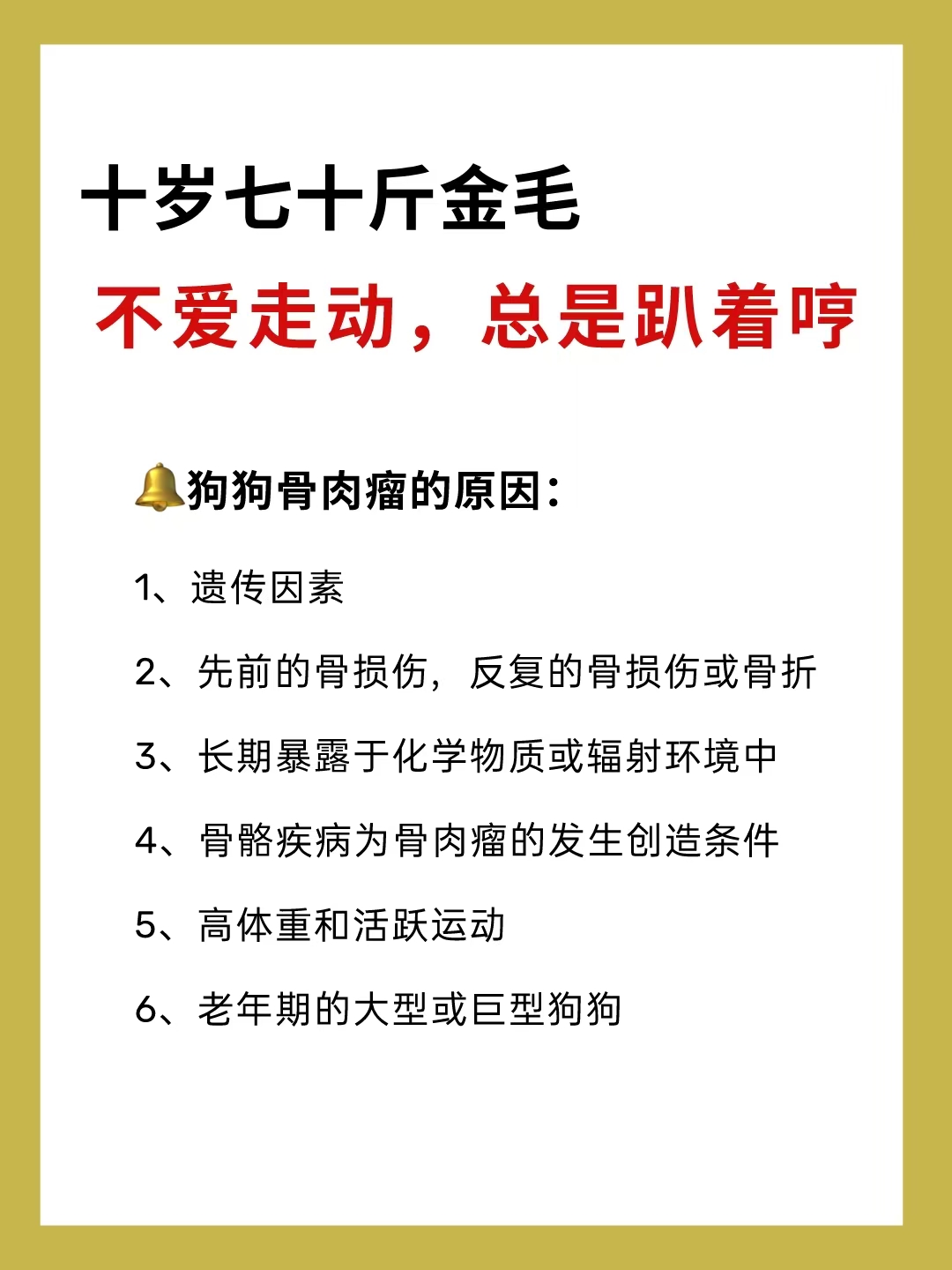 为什么整天没精神