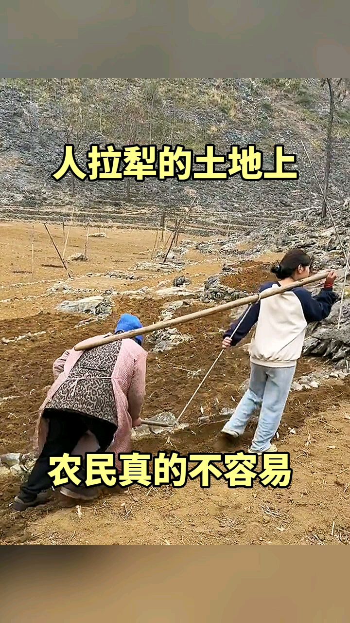 人拉犁的土地上,农民真的不容易!
