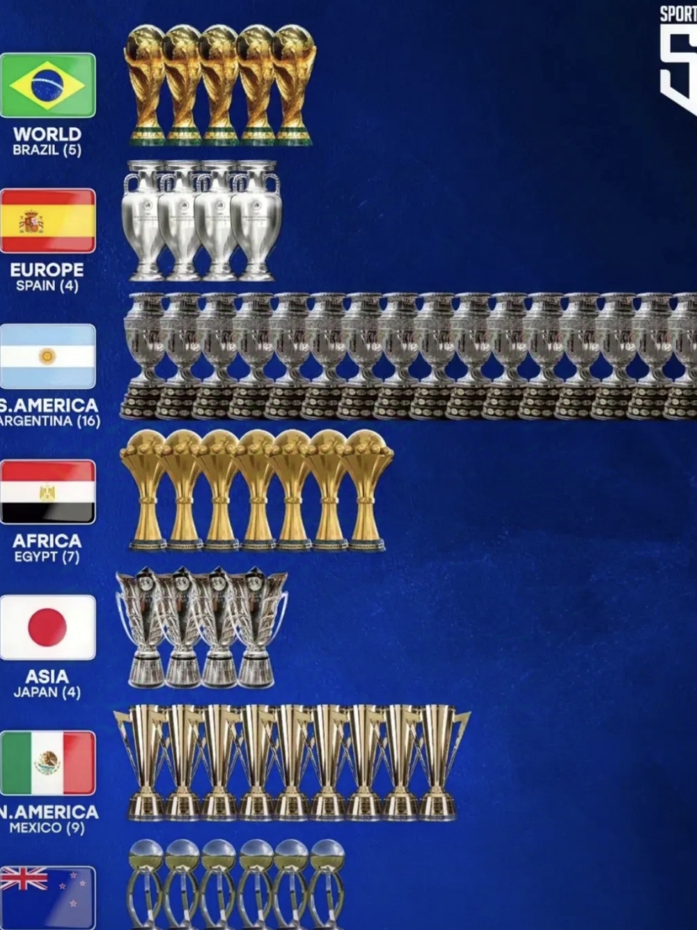 巴西世界 杯冠军 历史与荣相关图片2