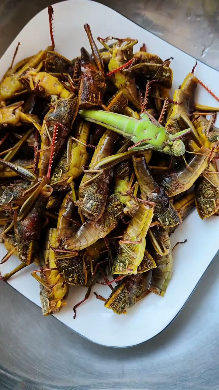 昆虫美食纯母蹬倒山大绿蚂蚱棉蝗油炸嘎嘎香!