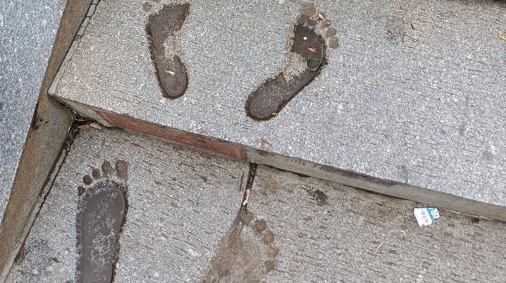 下午刚怕阶梯就看到上面明显的脚印,估计是刚修好的阶梯的时候有人光