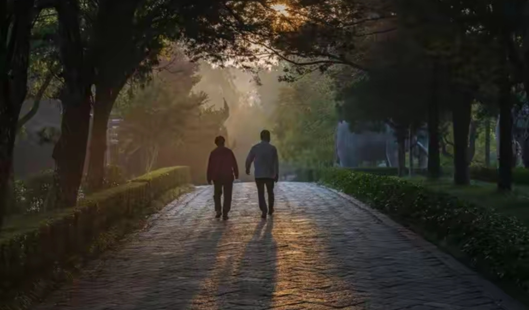 为什么父母到了晚年,亲情变了味道



父母的背影