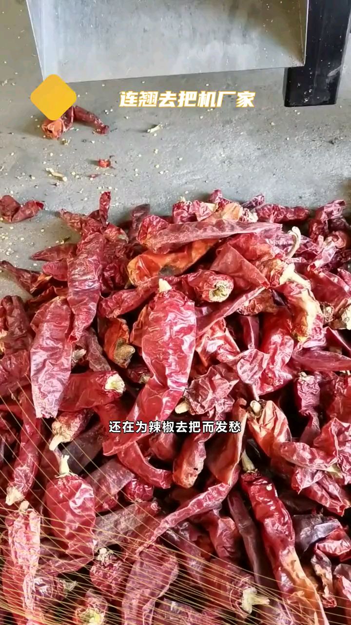 小型辣椒去把机,湿干线椒板椒剪把机,魔鬼椒去柄机器