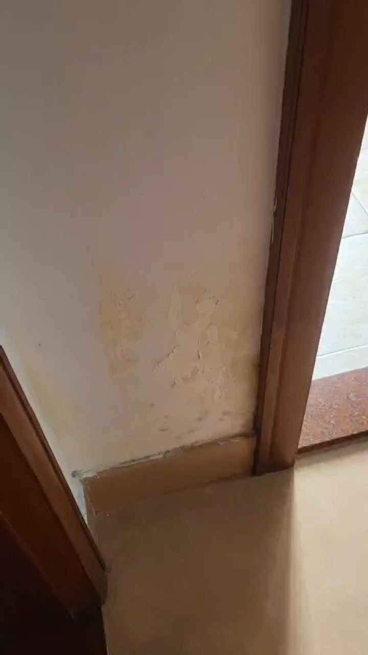 家里墙面脱皮 变色 渗水 皆因沉箱满水,修复即可