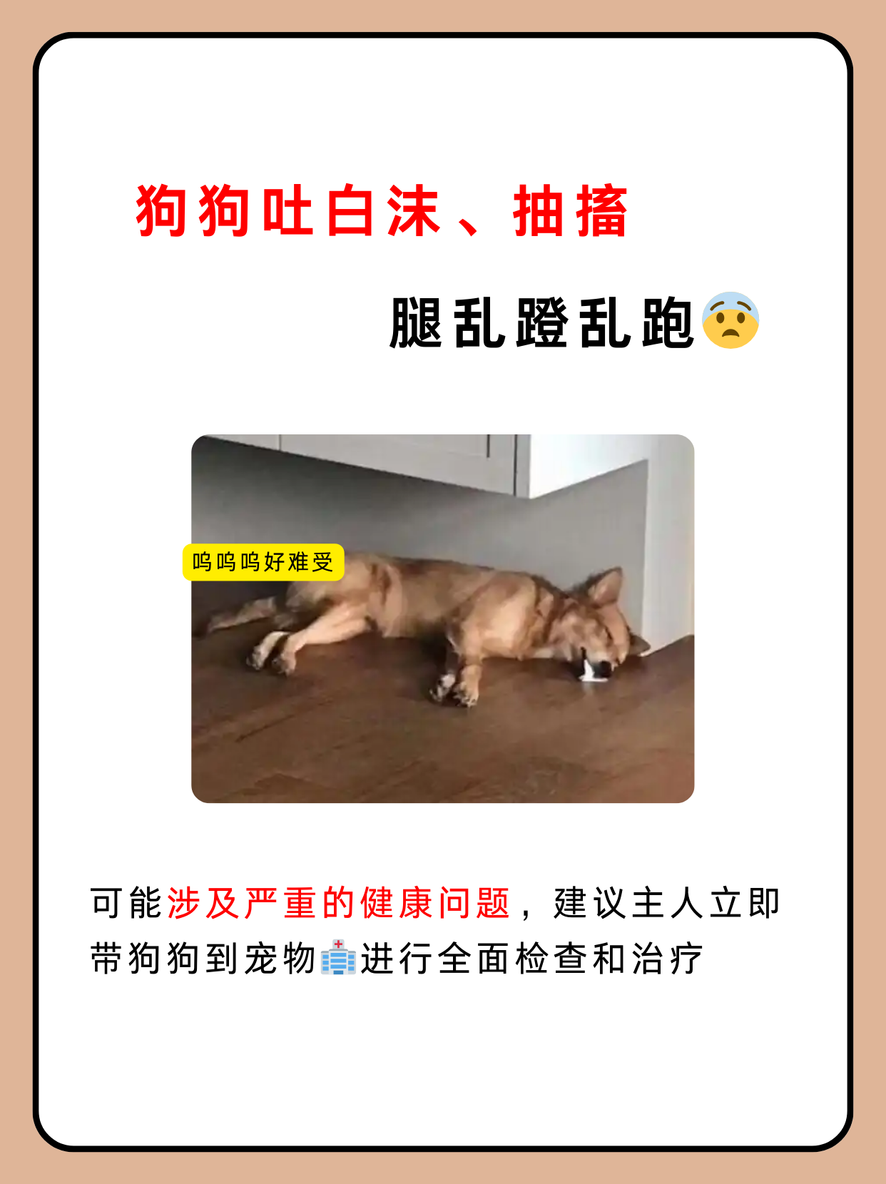 狗狗吐白沫,抽搐腿乱蹬乱跑