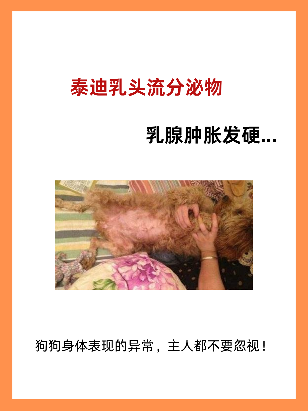 为什么乳头会变硬