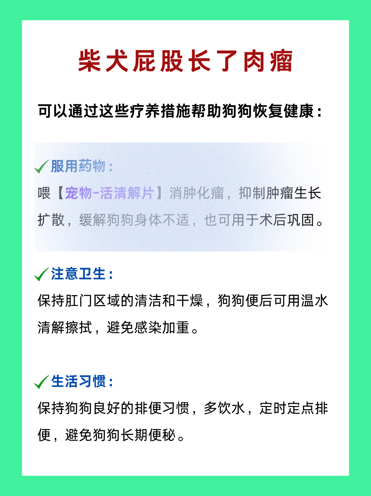 柴犬屁股长了肉瘤,排便困难