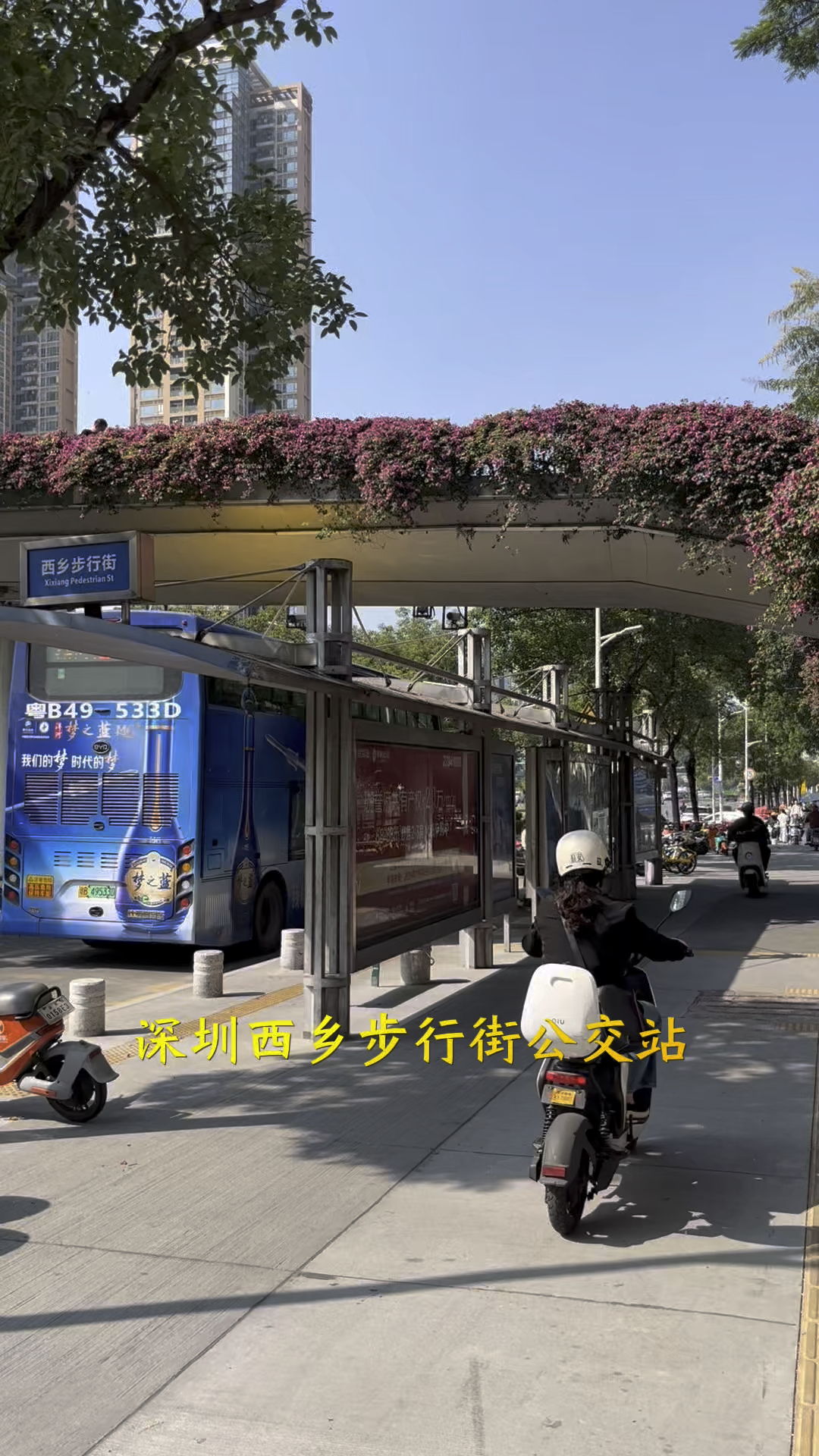 深圳西乡步行街公交站.2024年12月7日拍摄